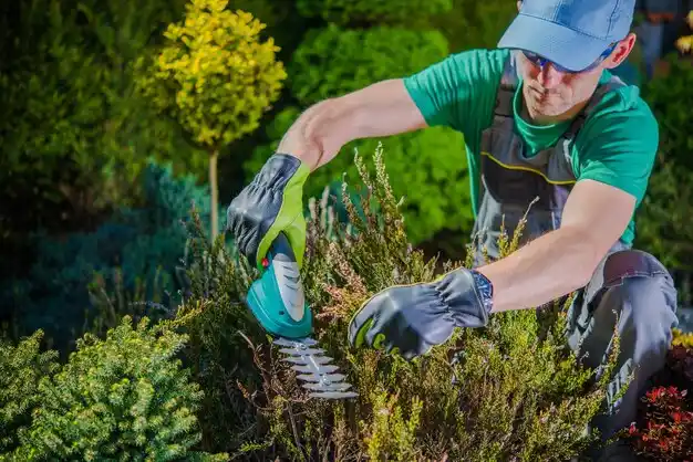 landscaping services Brookfield Center